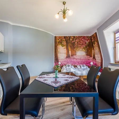 Zakopianczyk Апартаменты *