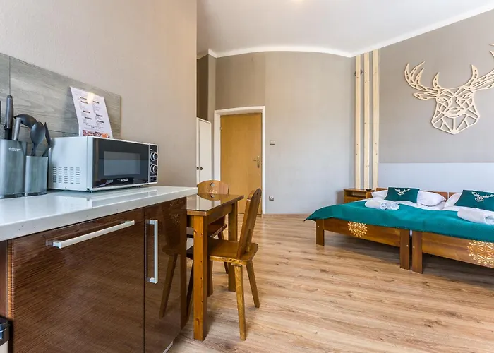 Appartement Zakopianczyk *